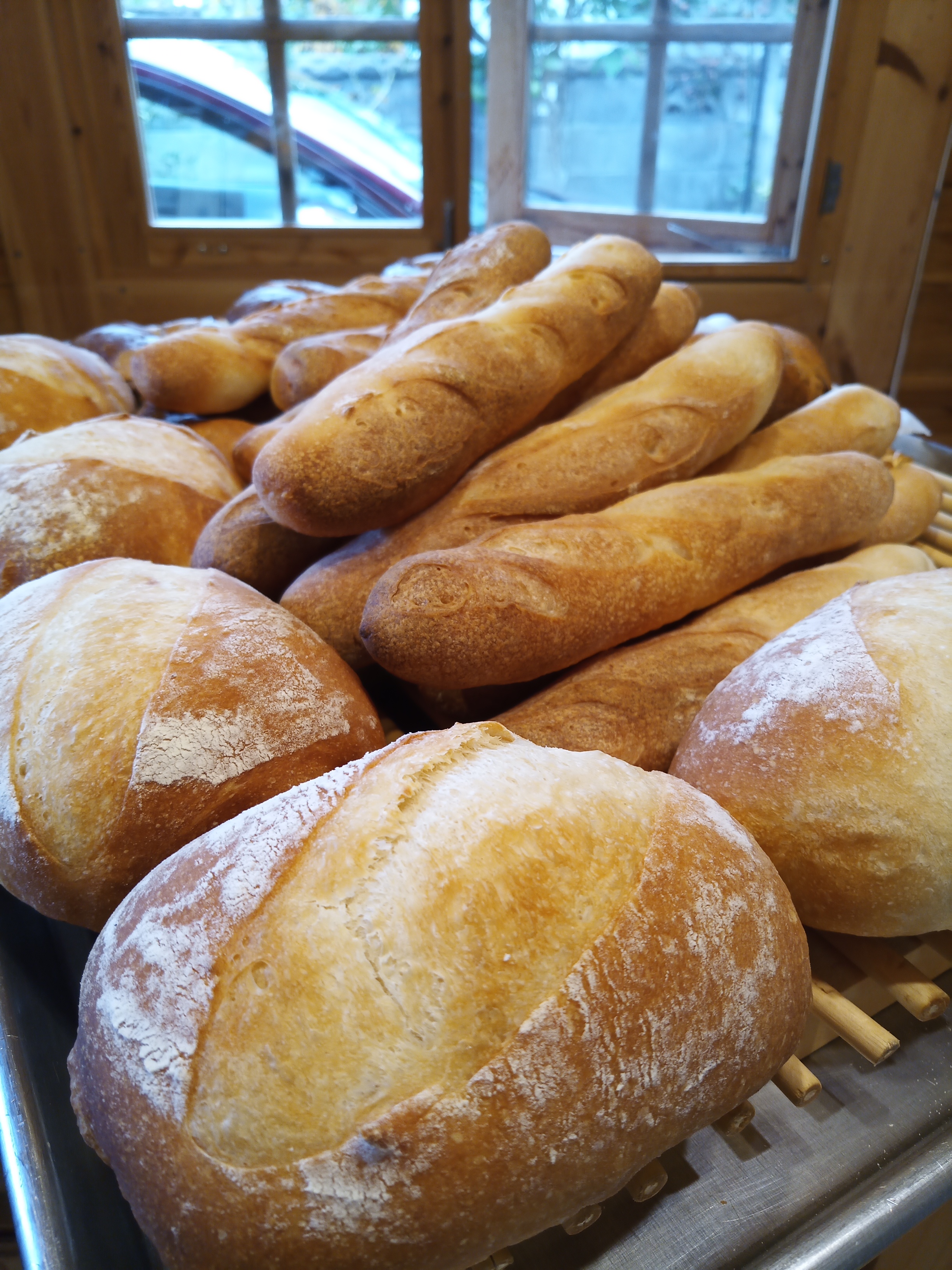 IMG_20191114_094215_0