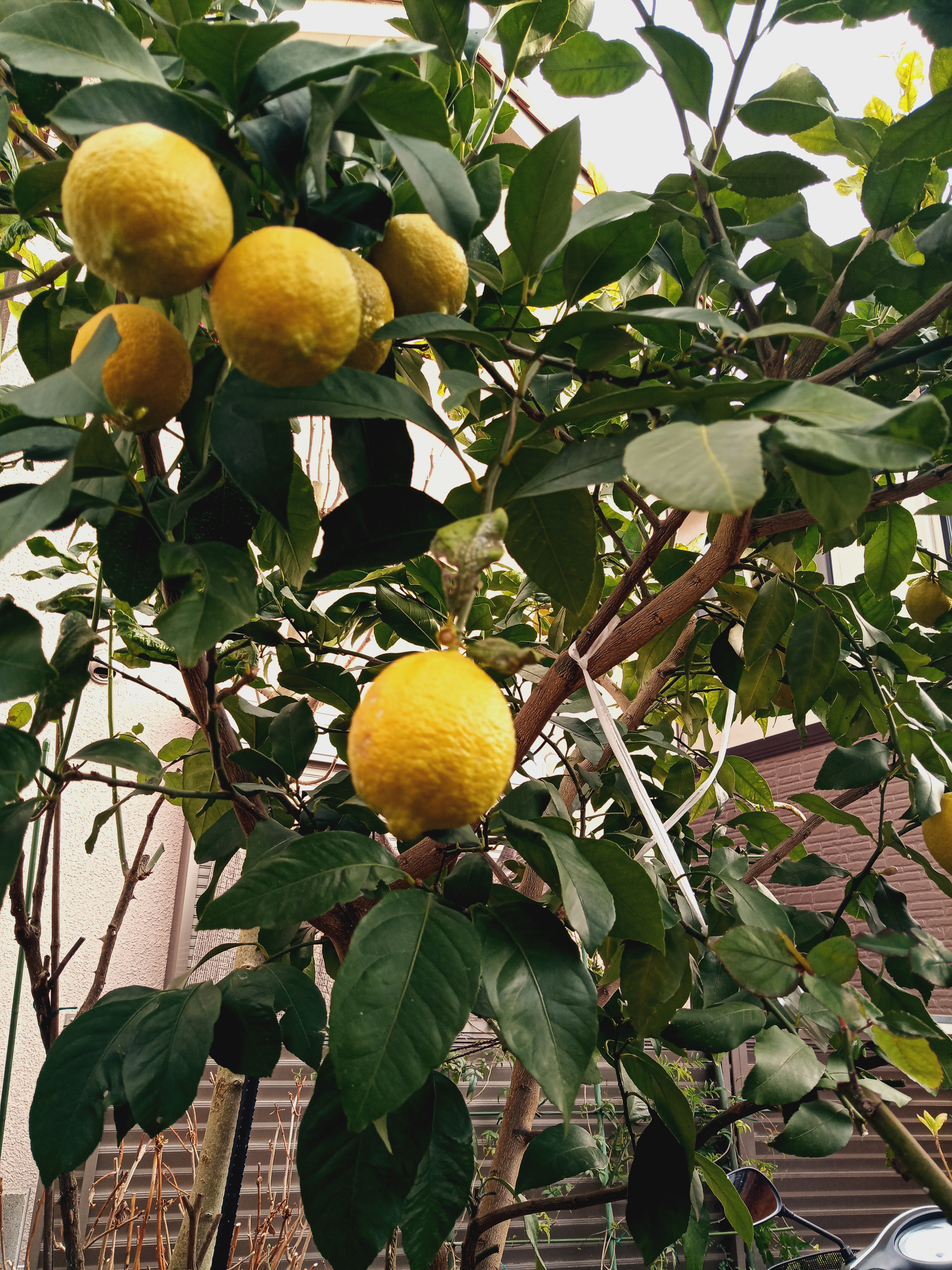 IMG_20200108_152523_5