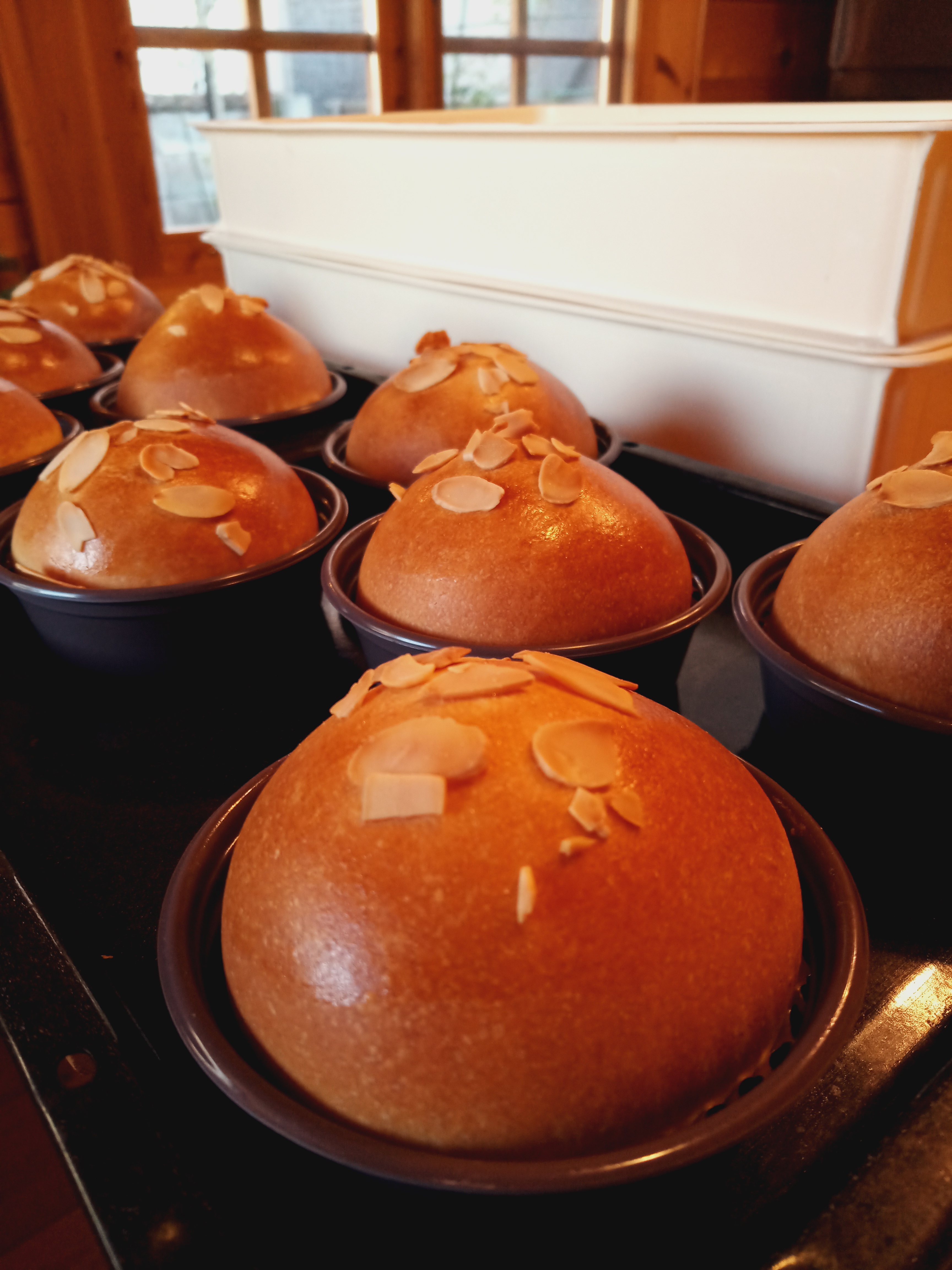 IMG_20200302_100125_1